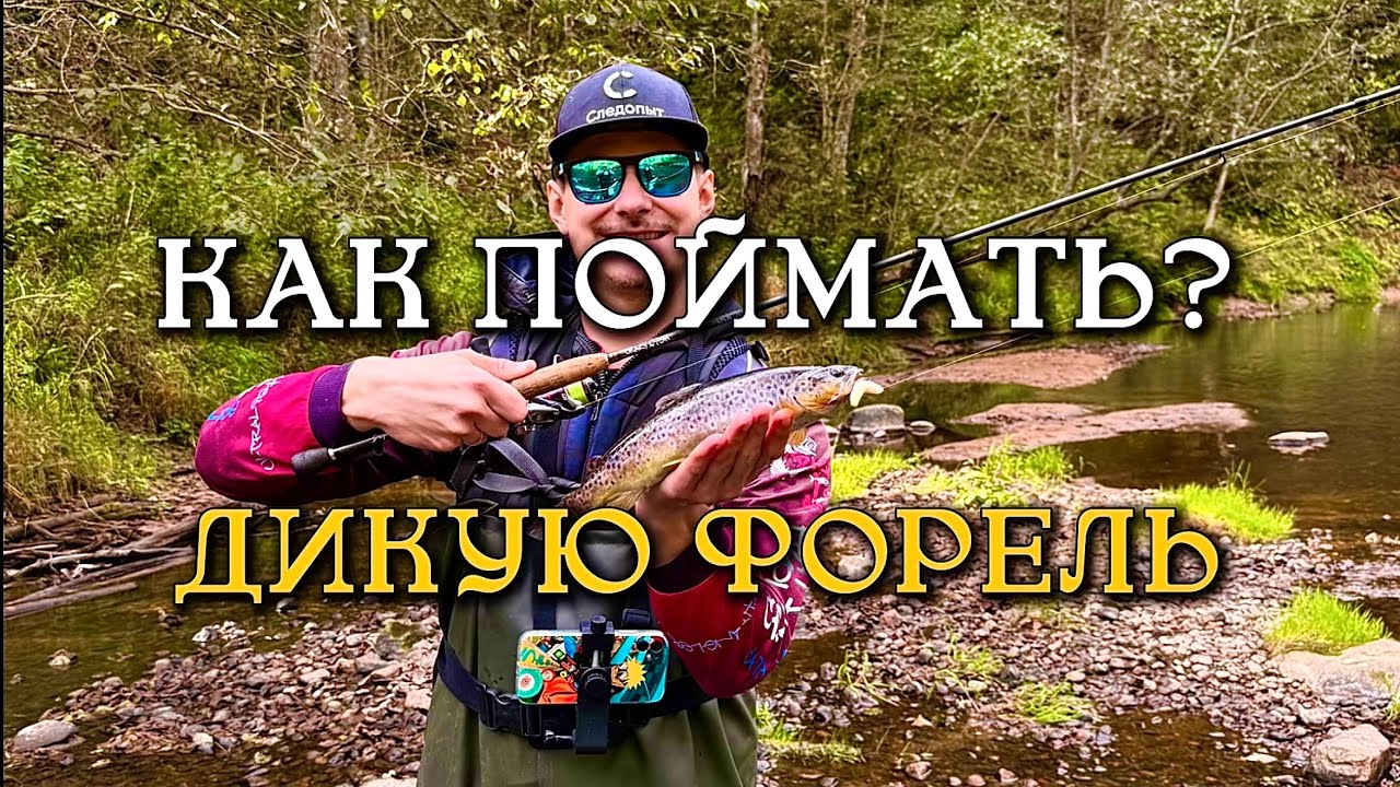 ДИКАЯ ФОРЕЛЬ! Ловим хариуса и форель на реках Тверской области ! Как ловить форель на маготов?