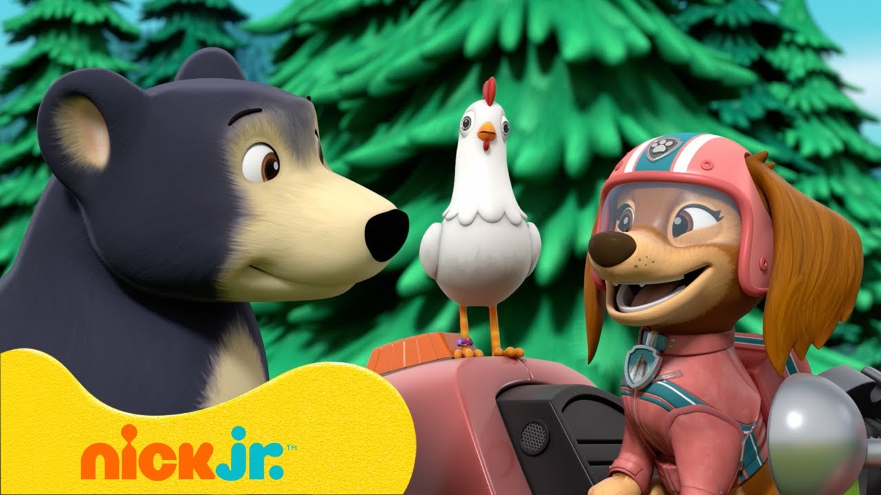 PAW Patrol | ¡Los cachorros del PAW Patrol conocen a la manada de gatos! 🐶🐱 | Nick Jr. en Español