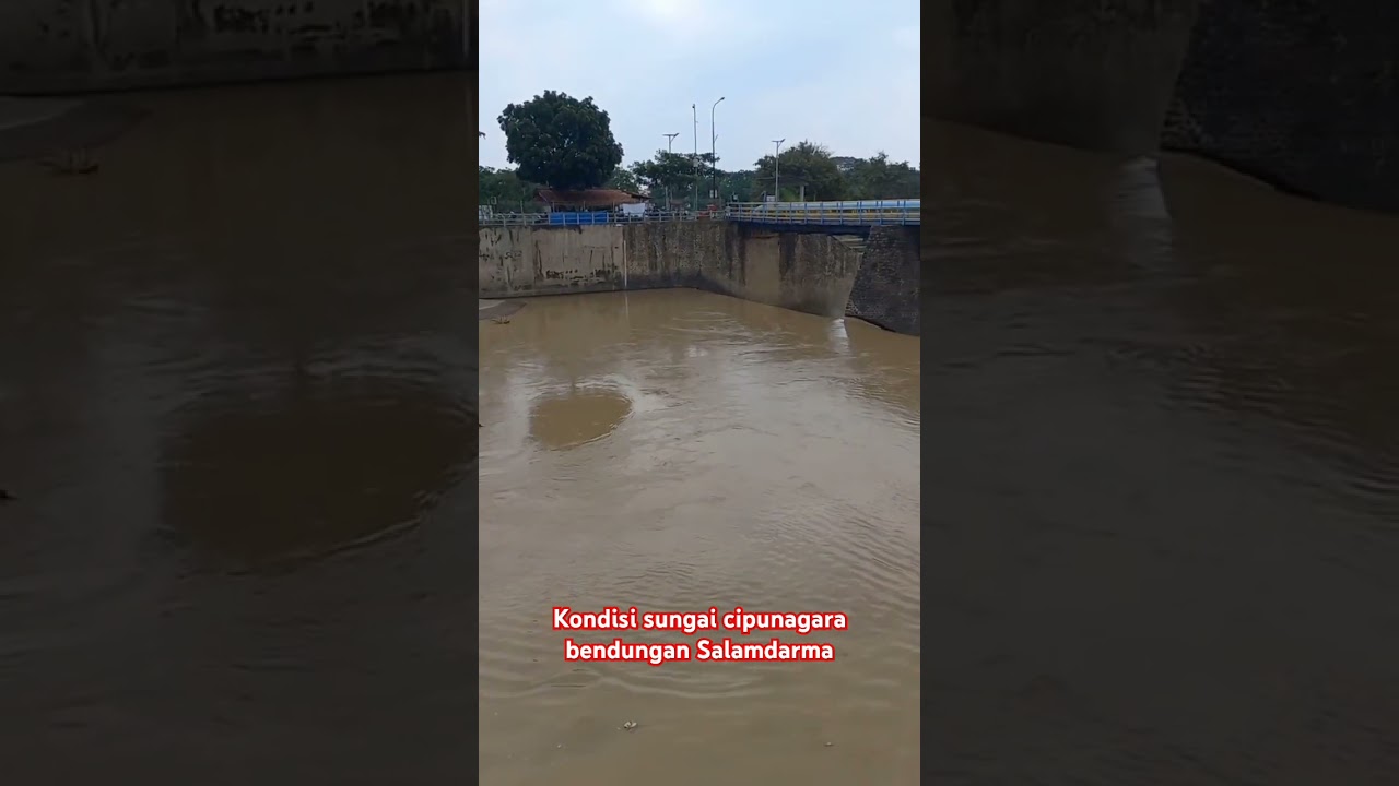 sungai cipunagara bendungan salamdarma #shortvideo #shorts #bendungan #viralvideo