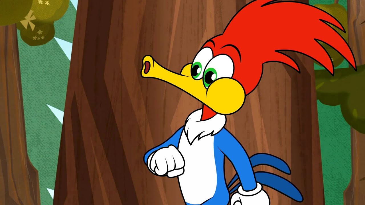 ¡La curiosa naturaleza de Woody!| El Pájaro Loco | Dibujos Animados en Español
