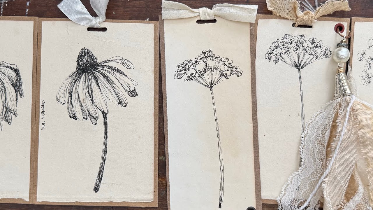 How to sketch Queen Anne’s Lace and Echinacea.