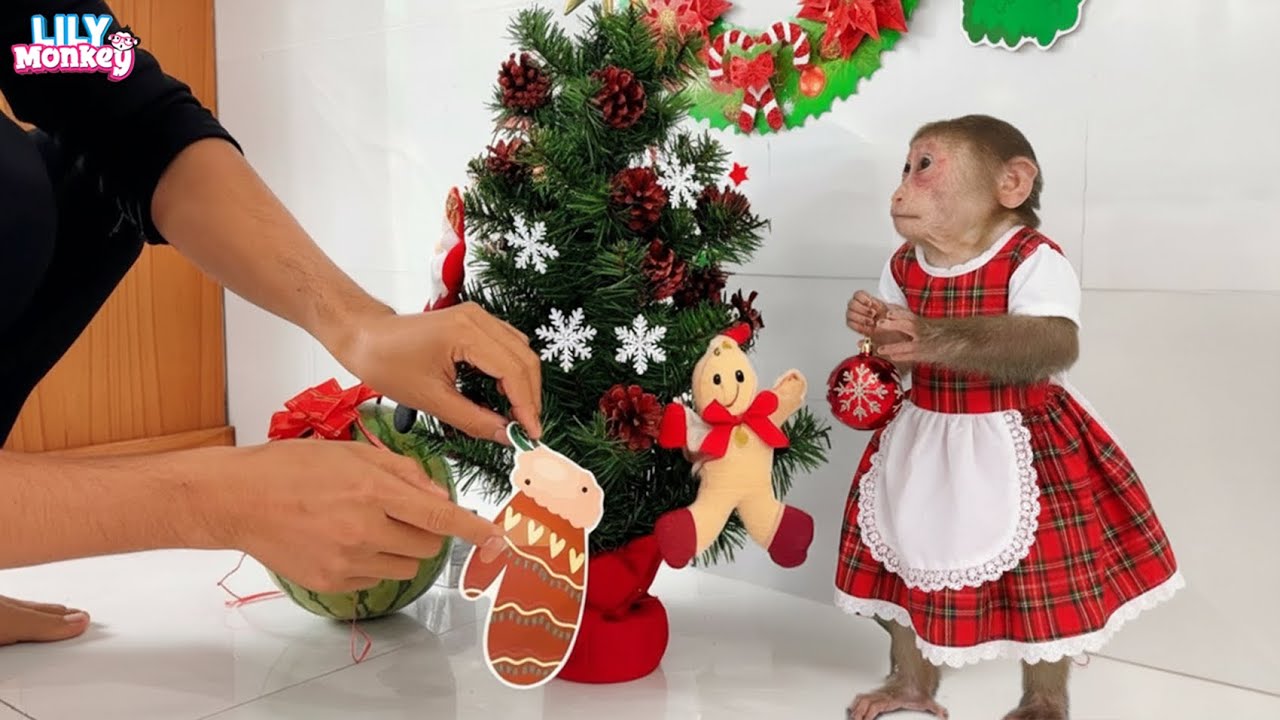 So happy! A special Christmas surprise from dad for Lily | Lily's story