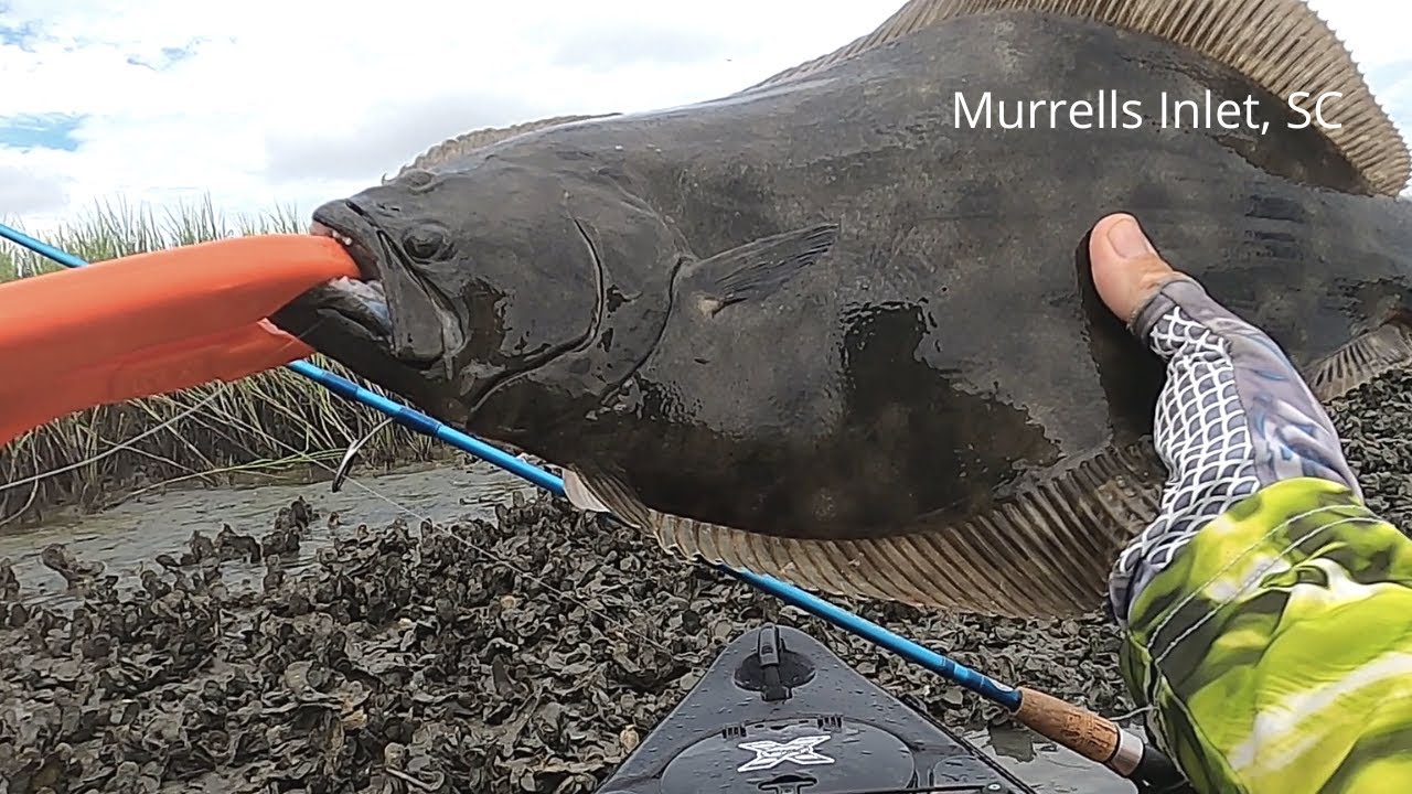 Afternoon Summer Flounder Fishing in Murrells Inlet, SC