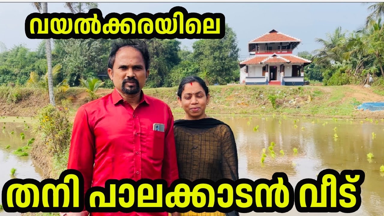 ഞങ്ങളുടെ വയൽക്കരയിലെ വീട് | Kerala traditional home | padinjattini 