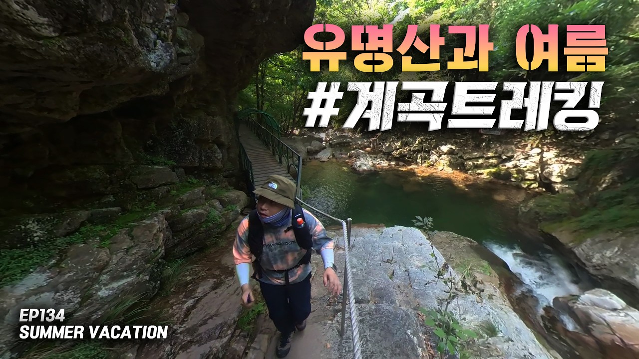 [4K] 폭염 속 유일한 가을숲 같았던 유명산 계곡 트레킹 코스를 걸었습니다.