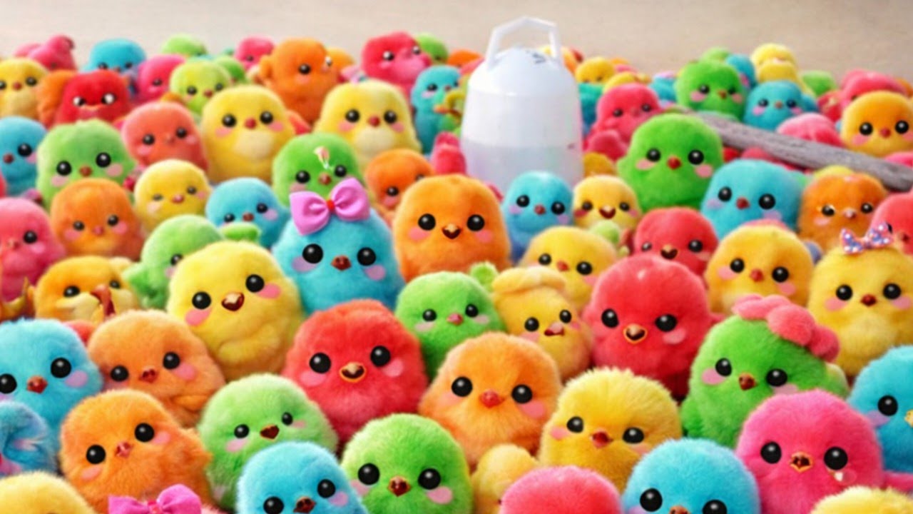 Catch Color Chicken, Cute Chicken, Duck, Rainbow Chicken, Rabbit, Cute Animals