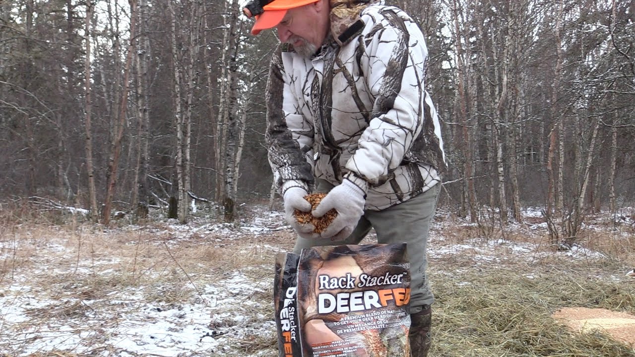 Saskatchewan Whitetail 2020