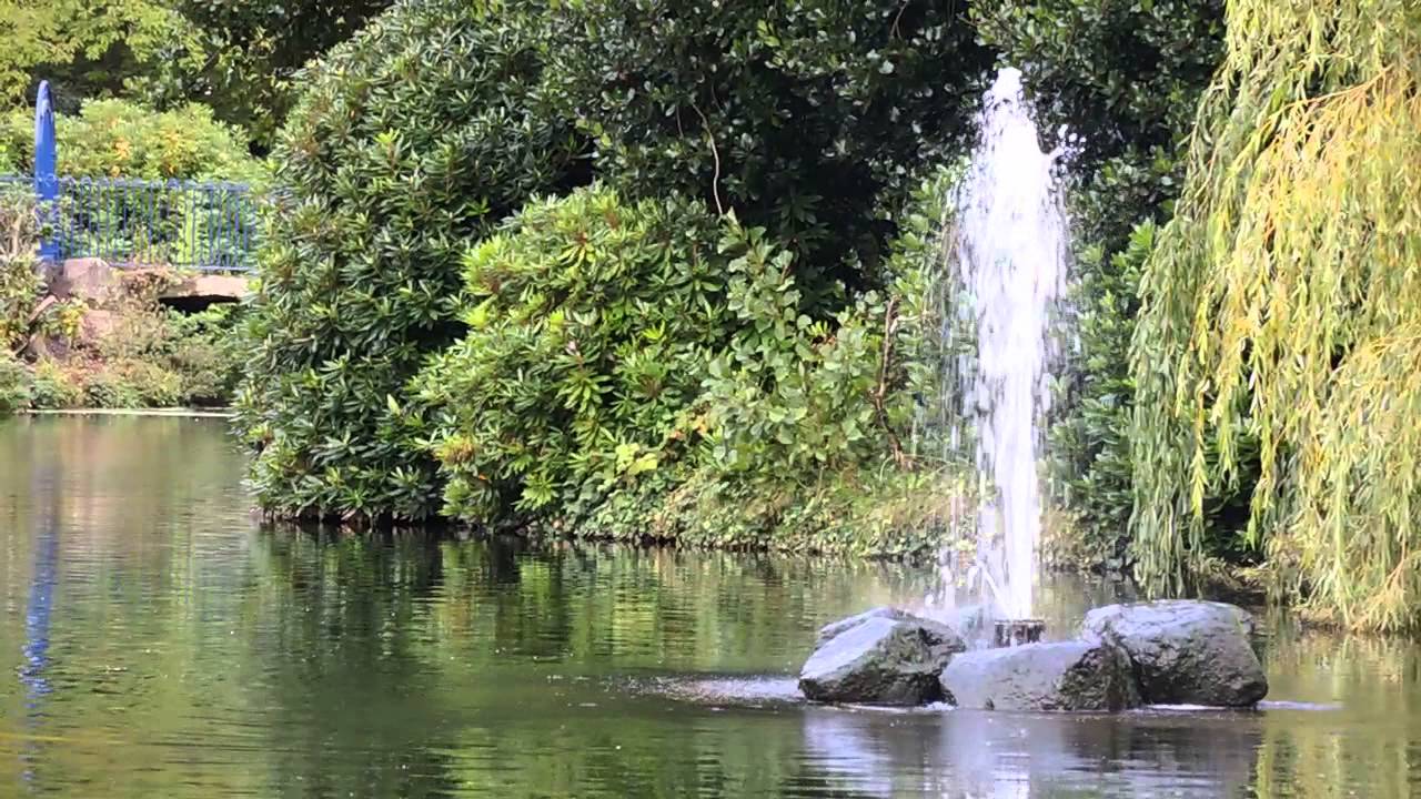 Nikon Coolpix P7800 720p 50fps Video