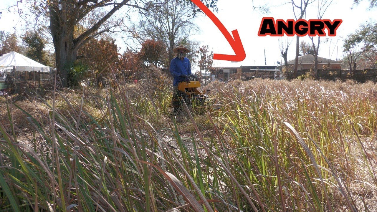 I made the NEIGHBOR ANGRY for making too much dust while cleaning this yard, was my fault