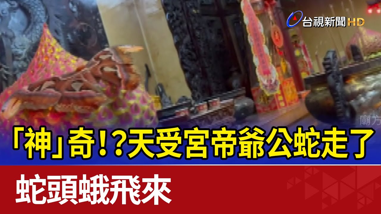 「神」奇！？ 天受宮帝爺公蛇走了 蛇頭蛾飛來