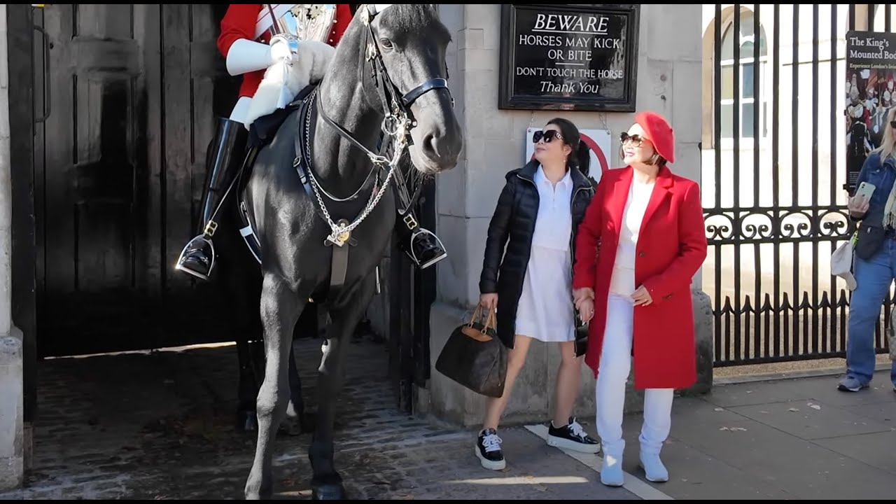 Guard has had Enough of the Disrespectful Tourists Keep Entering the White Box.