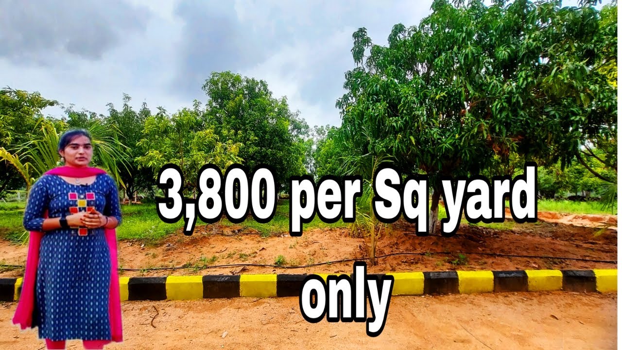 Rare Opportunity: Farm House & Land Near Aler || Farm House And Farm Land For Sale Near Aler