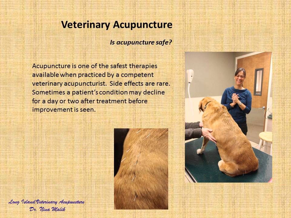 LIVA  Client Education  Acupuncture