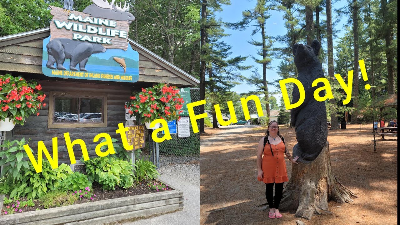 Our visit to the Maine Wildlife Park