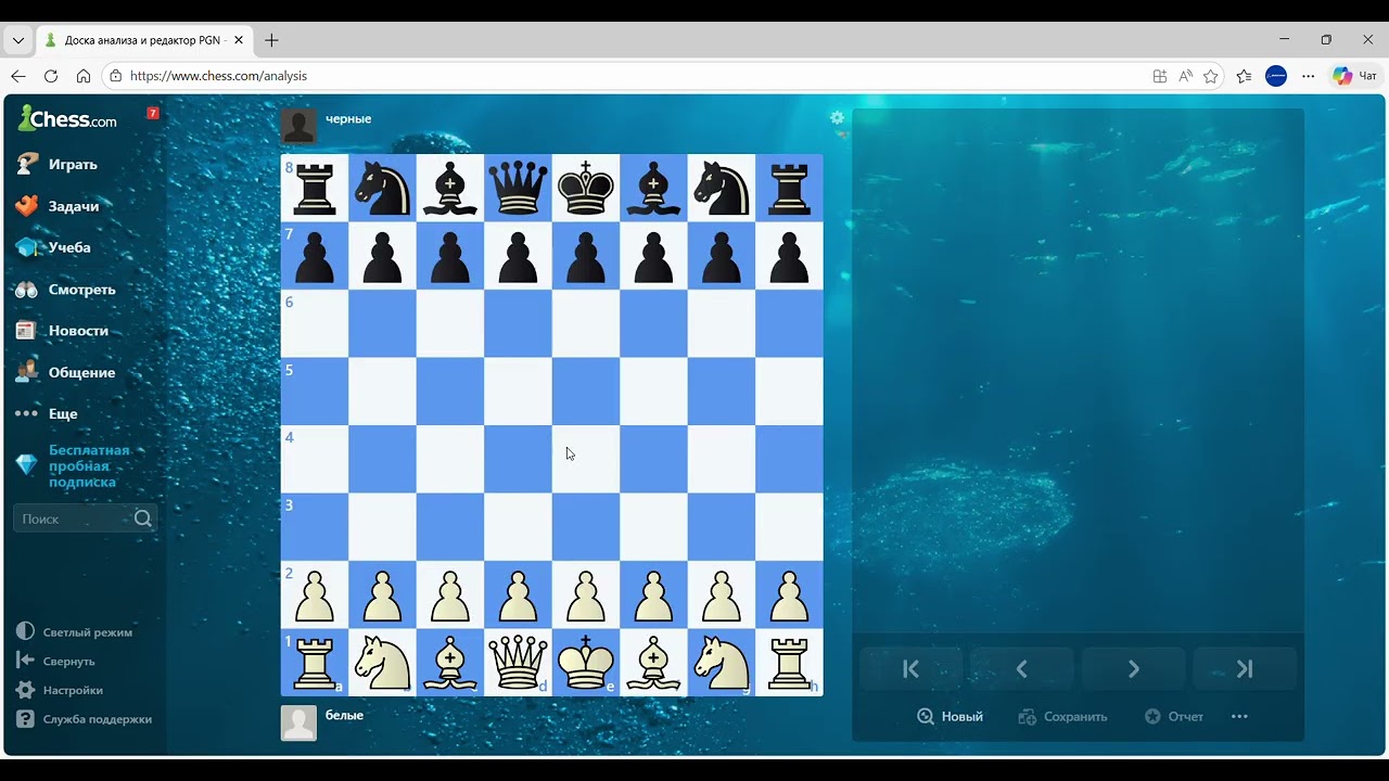Доска анализа и редактор PGN   Chess com — Личный  Microsoft​ Edge 2026 01 27 06 12 00