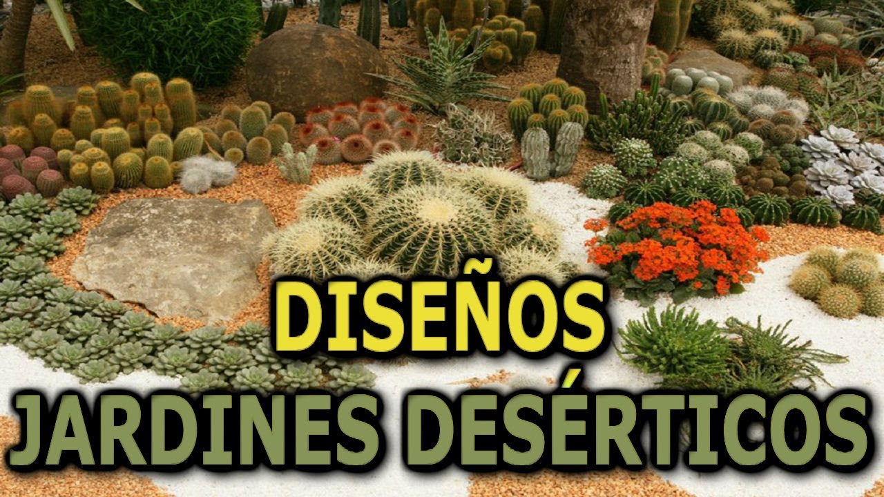 Diseños de jardines desérticos (Plantas desérticas) || Info Garden