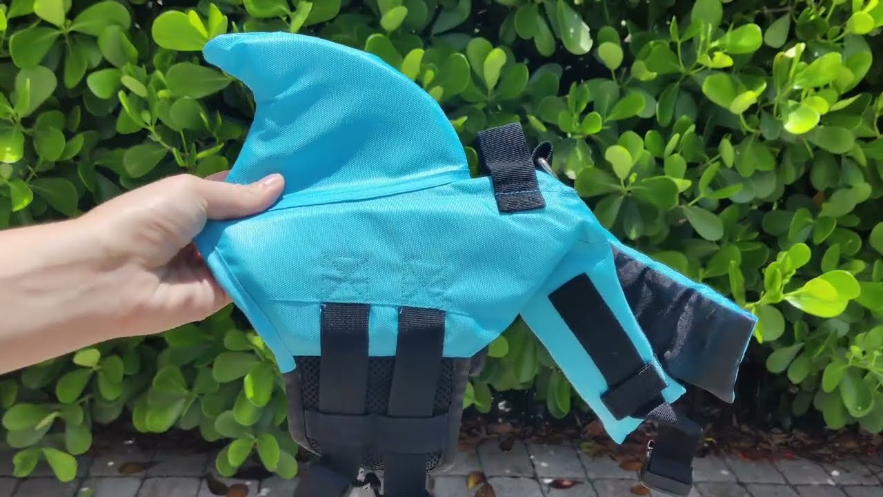 Adorable Vibrant Baby Blue Shark Life Jacket for Dogs 👙🏖️🏊🐶🐾