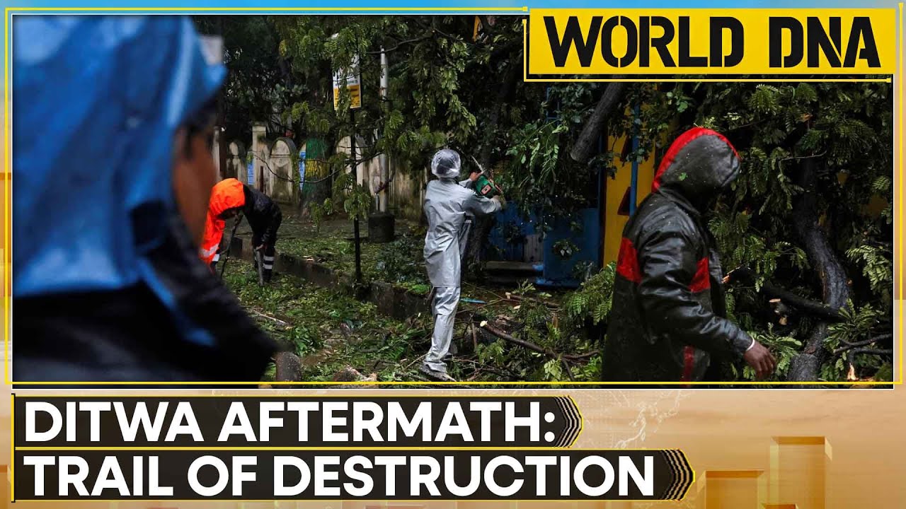 Sri Lanka Disaster: Cyclone Ditwa Leaves 474 Dead, 366 Missing | WION World DNA