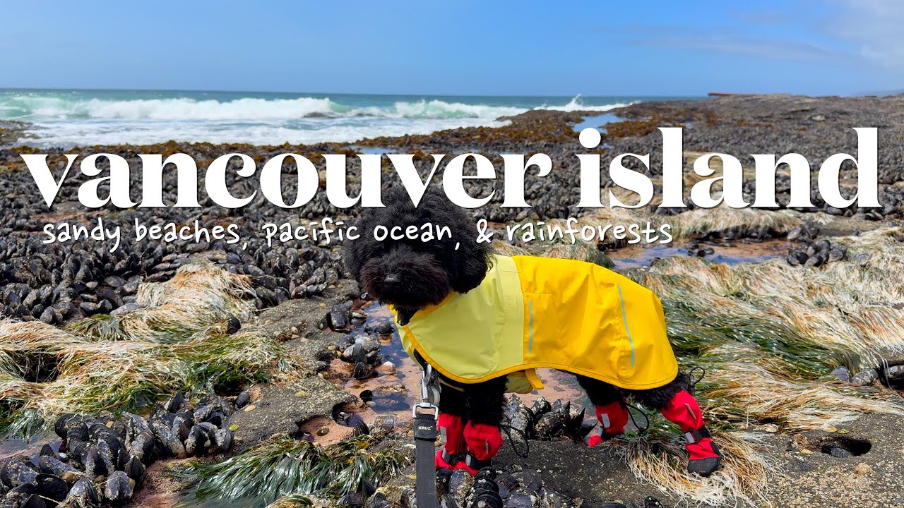 weekend trip to vancouver island | hikes, beaches & rainforest adventures