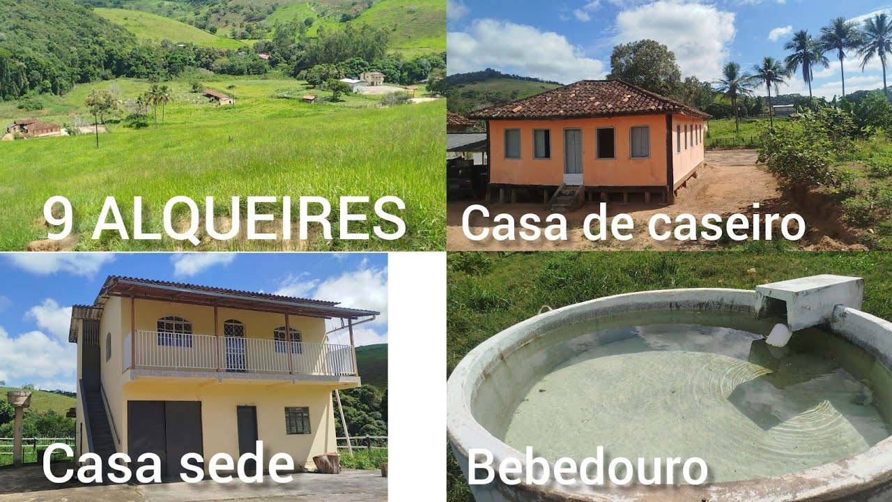 FAZENDA DE 43.56 HECTARES, 2 CASAS , GALPÃO