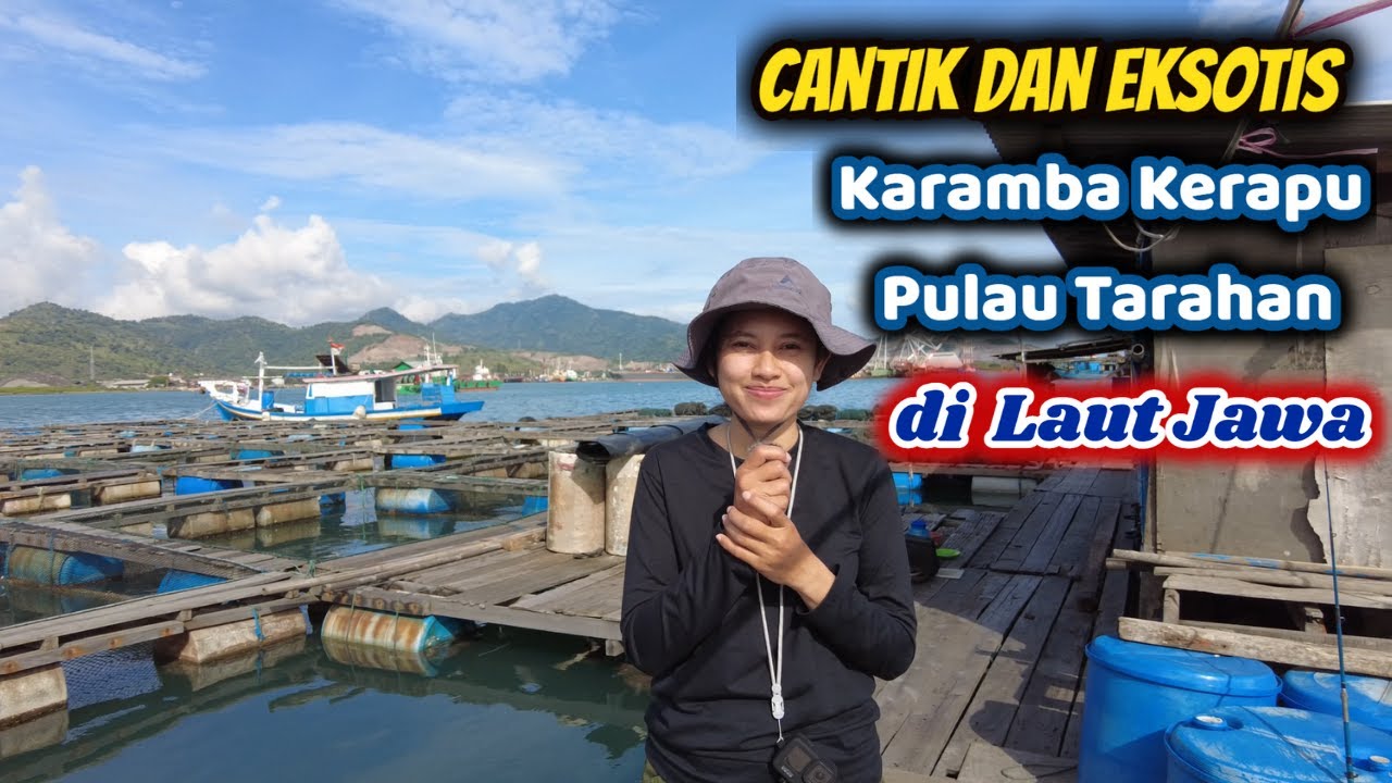 🔴Budidaya Ikan Kerapu di Keramba Jaring Apung - Keramba Ikan Kerapu di Pulau Tarahan Banten