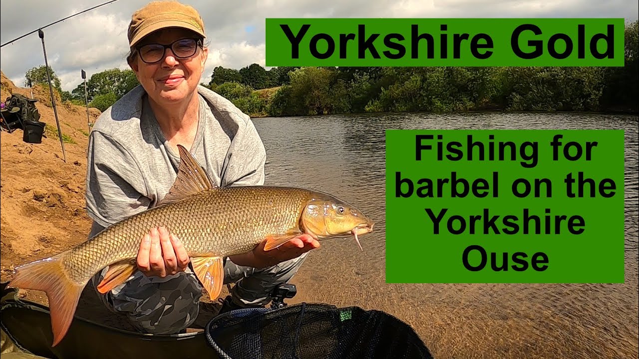 Fishing for barbel on the Yorkshire Ouse
