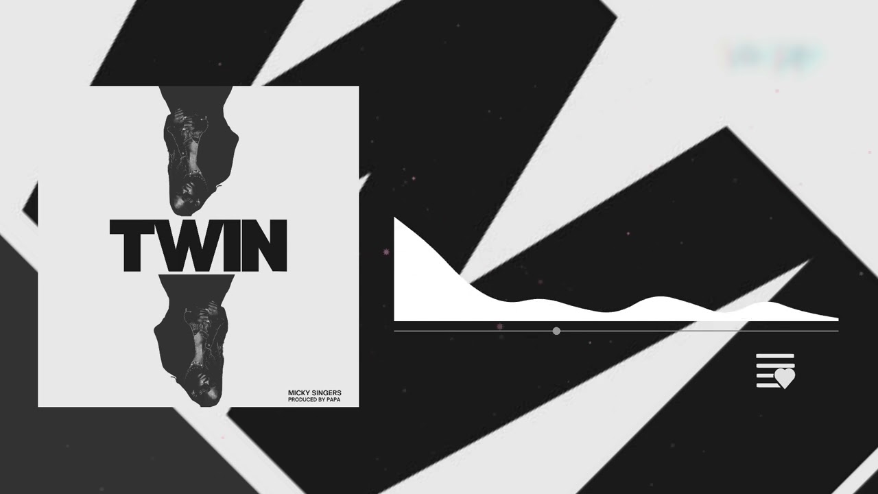 Micky Singer - Twin ( Official Audio)