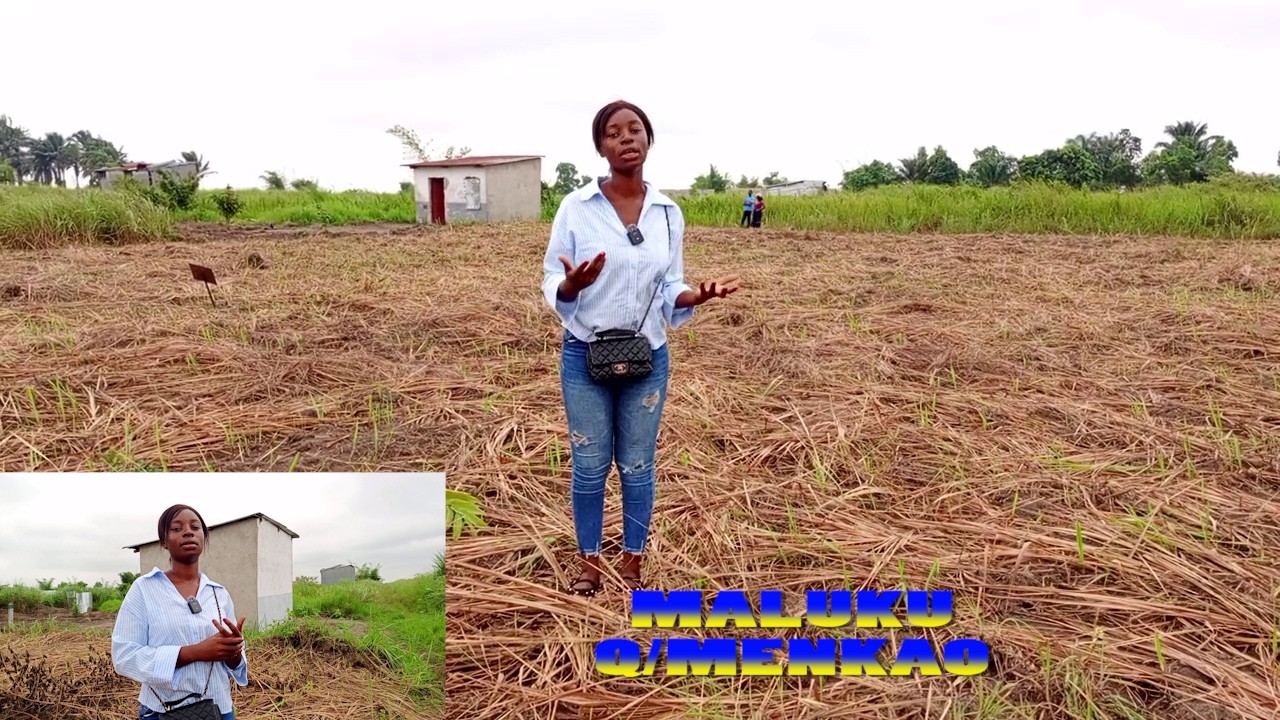 VOL 2355 LA SANKUROISE AMEMELI BINO BA TERRAIN NA C YA MALUKU Q MENKAO