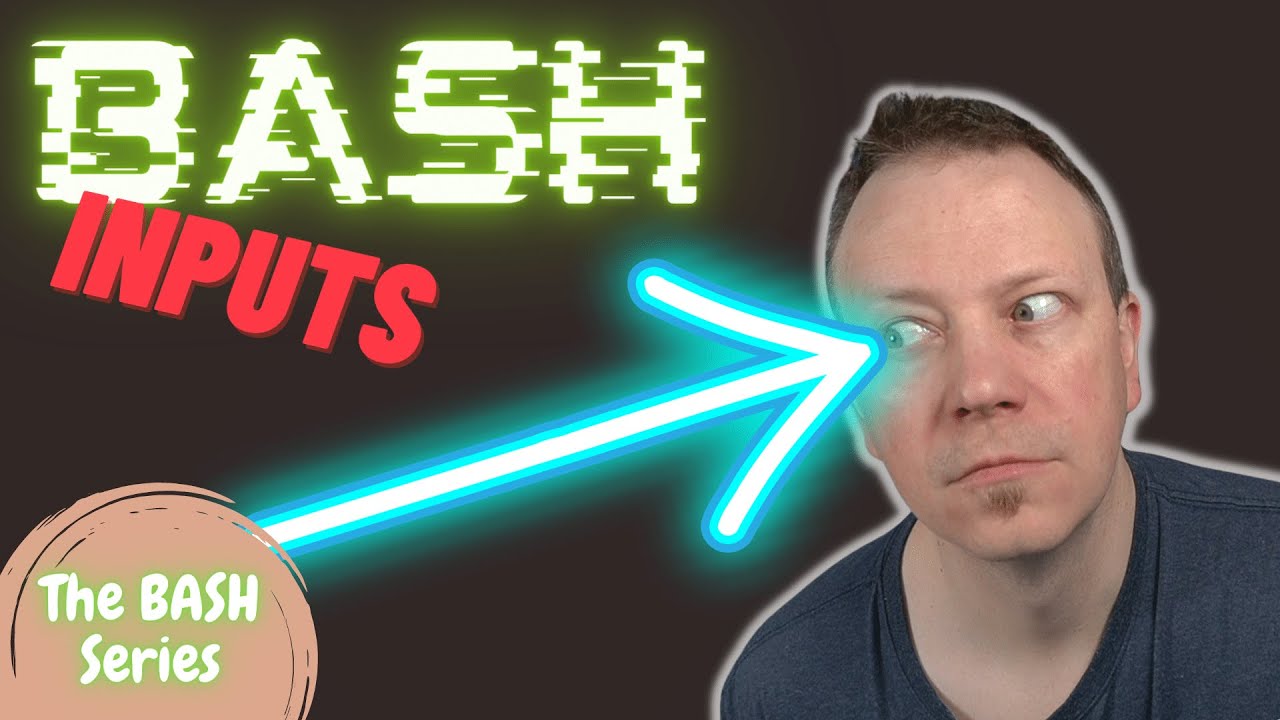 Get Data Into Your BASH Script!