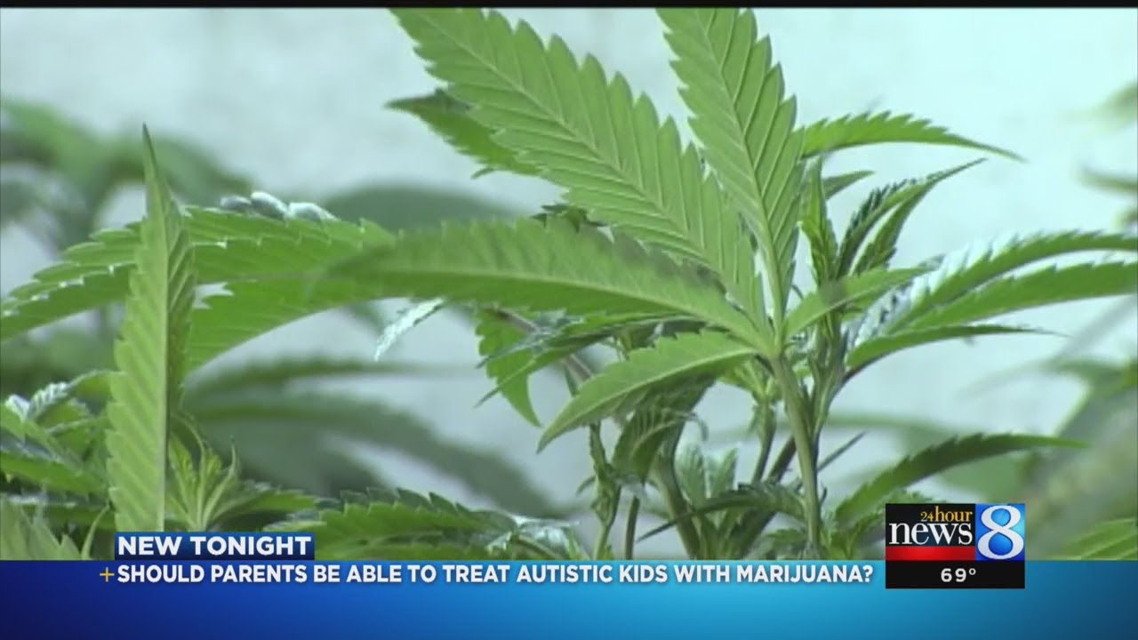 Michigan panel recommends allowing marijuana for autism