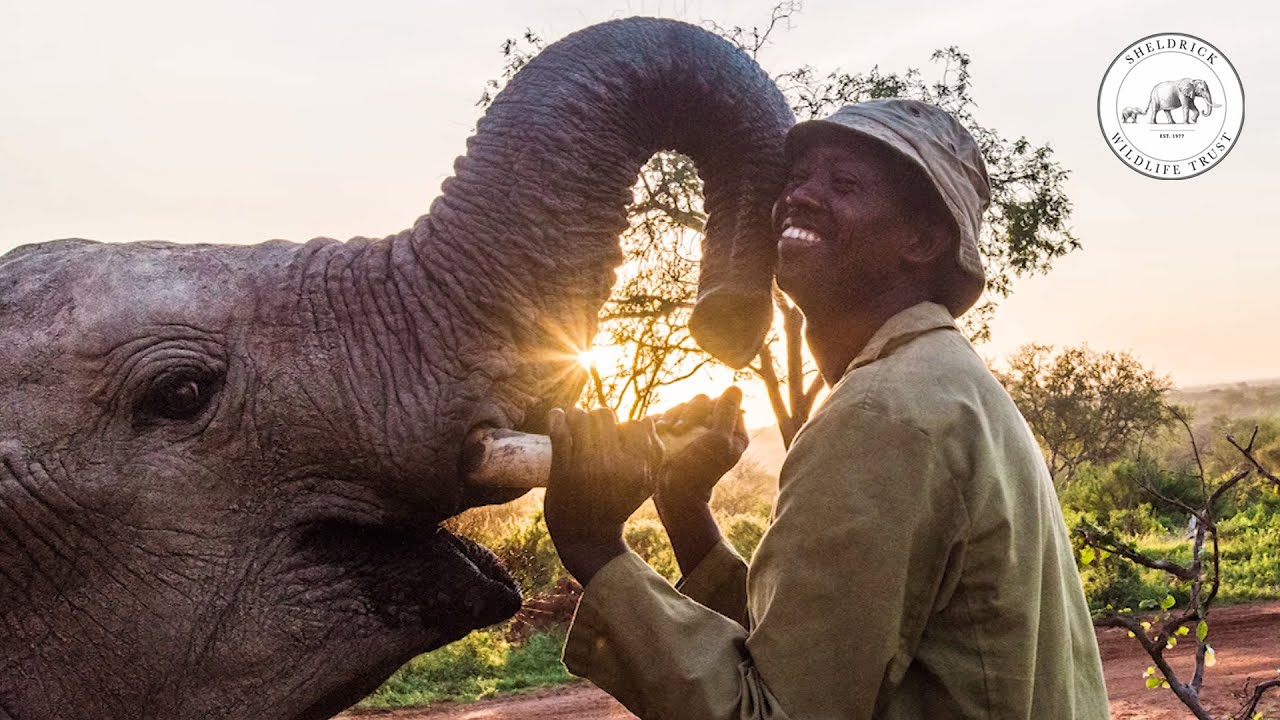 The Unsung Heroes | Sheldrick Trust