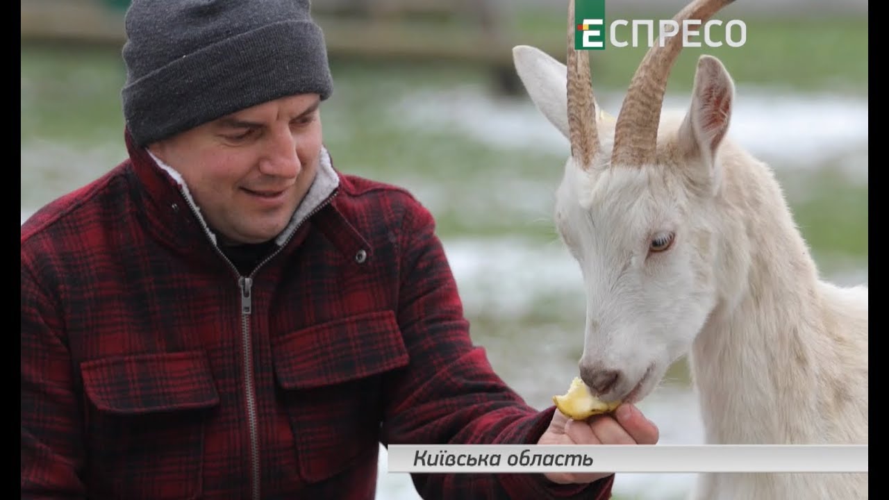 Успешные в Ураине | ТМ 