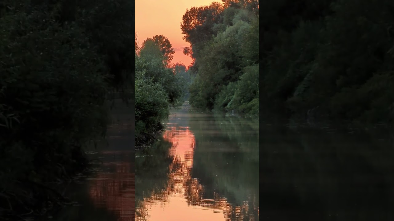 #sunset #danubedelta #nature #fishing