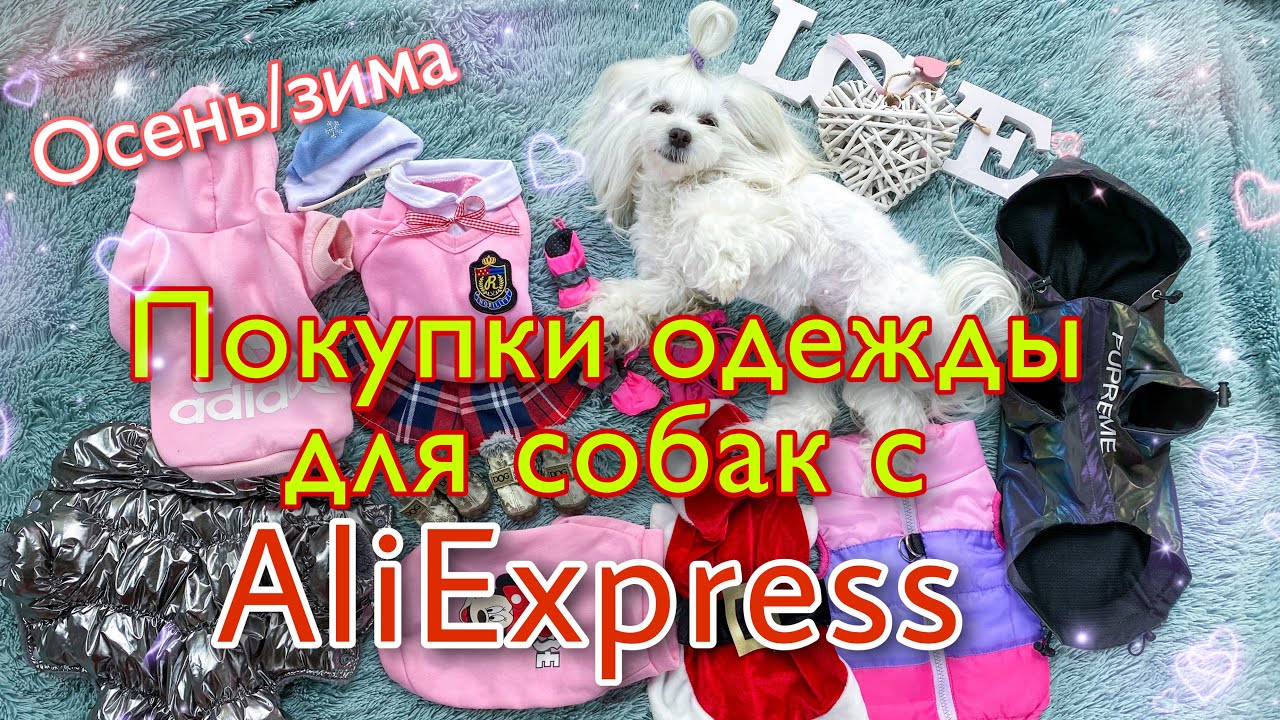 ALIEXPRESS: ОДЕЖДА ДЛЯ СОБАК НА ОСЕНЬ/ЗИМУ.