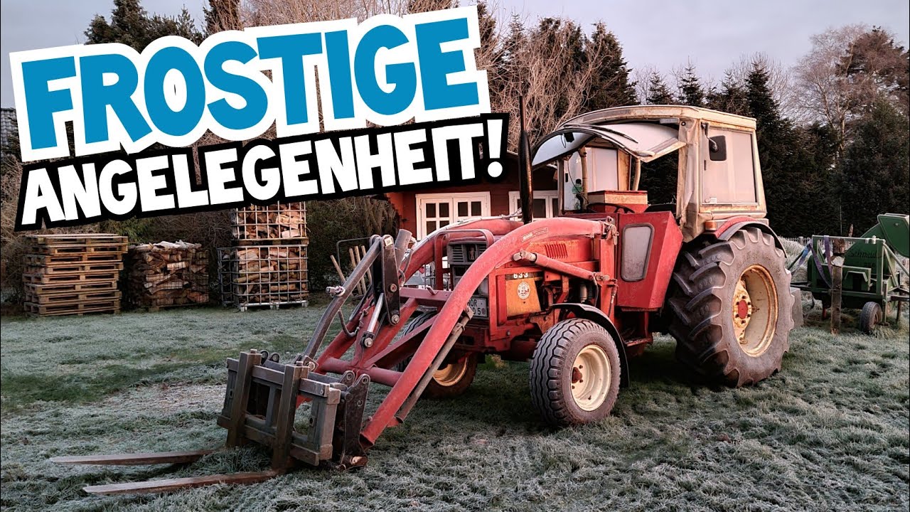 Den FROST ausnutzen! | BITTERKALT in Ostfriesland | Brennholz | IHC 633 | Mr. Moto