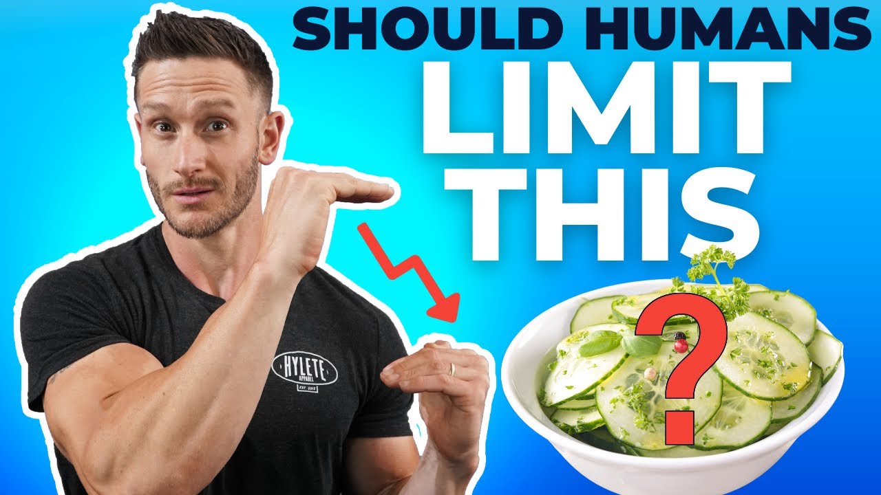 Protein restriction vs longevity- Mice Live Longer Eating Less of This