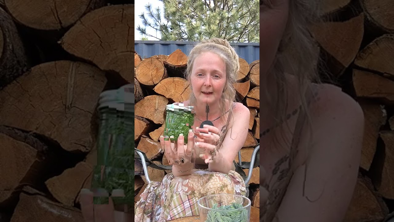 Let's make a Spruce tip tincture!