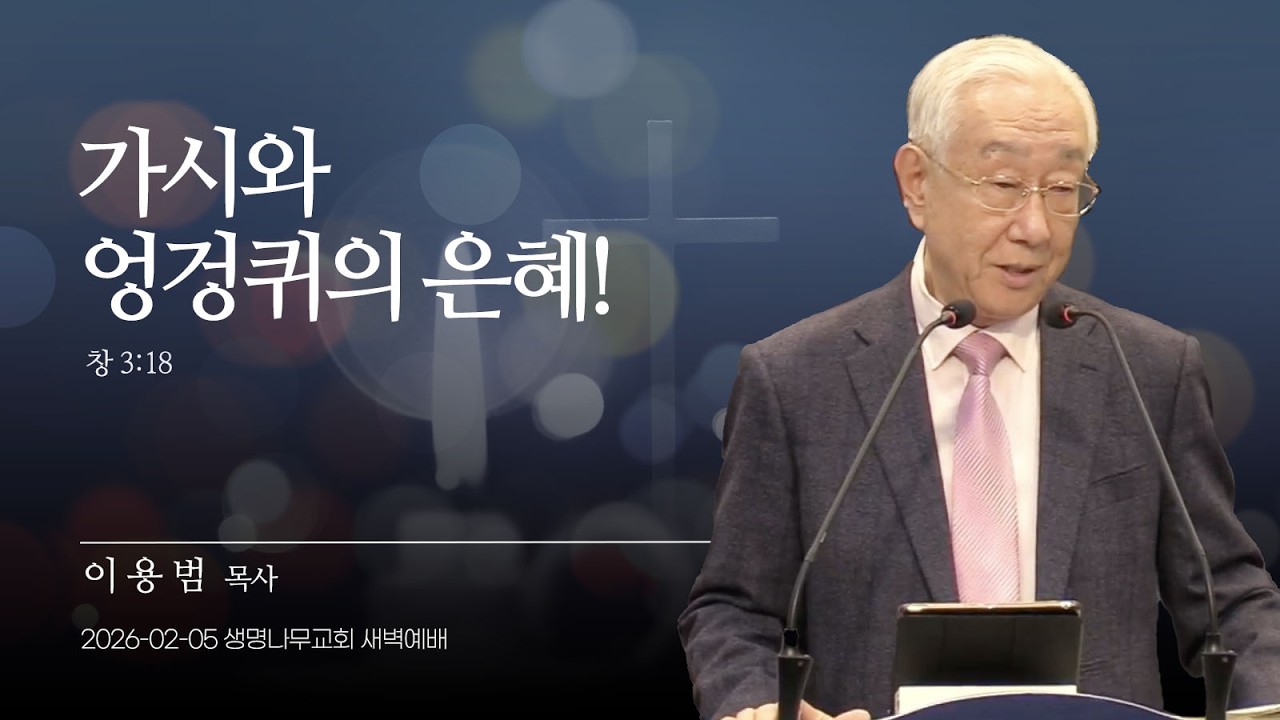 (새벽기도회) 생명나무교회 | 260205 