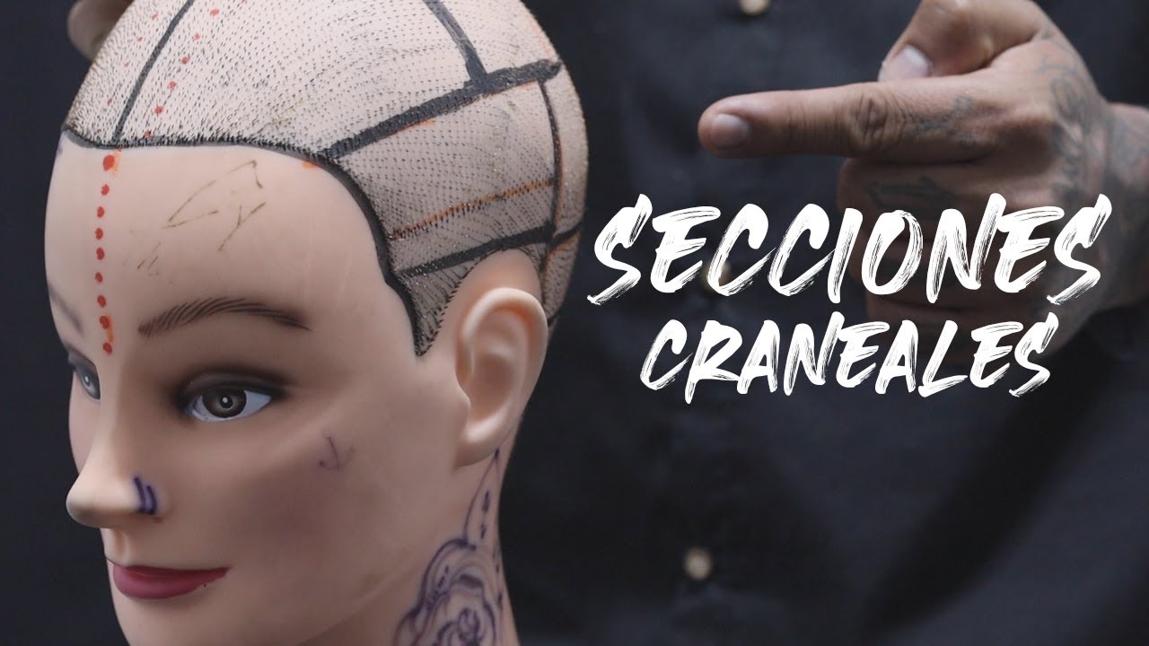 SECCIONES CRANEALES / ESTILISMO / PELUQUERIA / BARBERIA