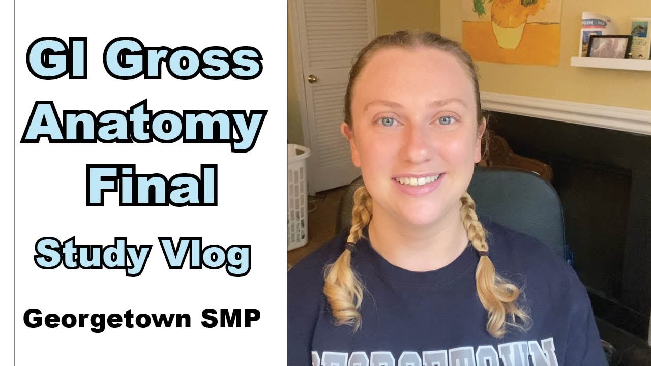GI Gross Anatomy Study Vlog | Georgetown SMP Premed Postbacc