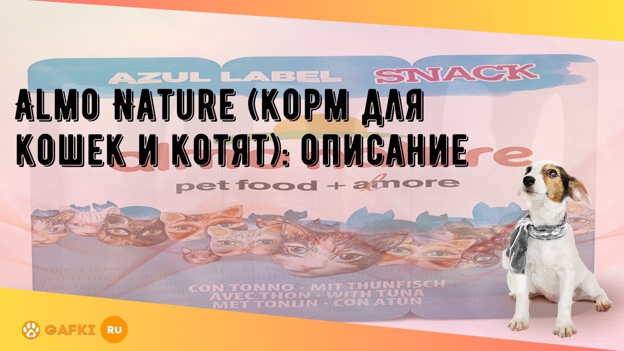 Almo Nature (корм для кошек и котят): описание