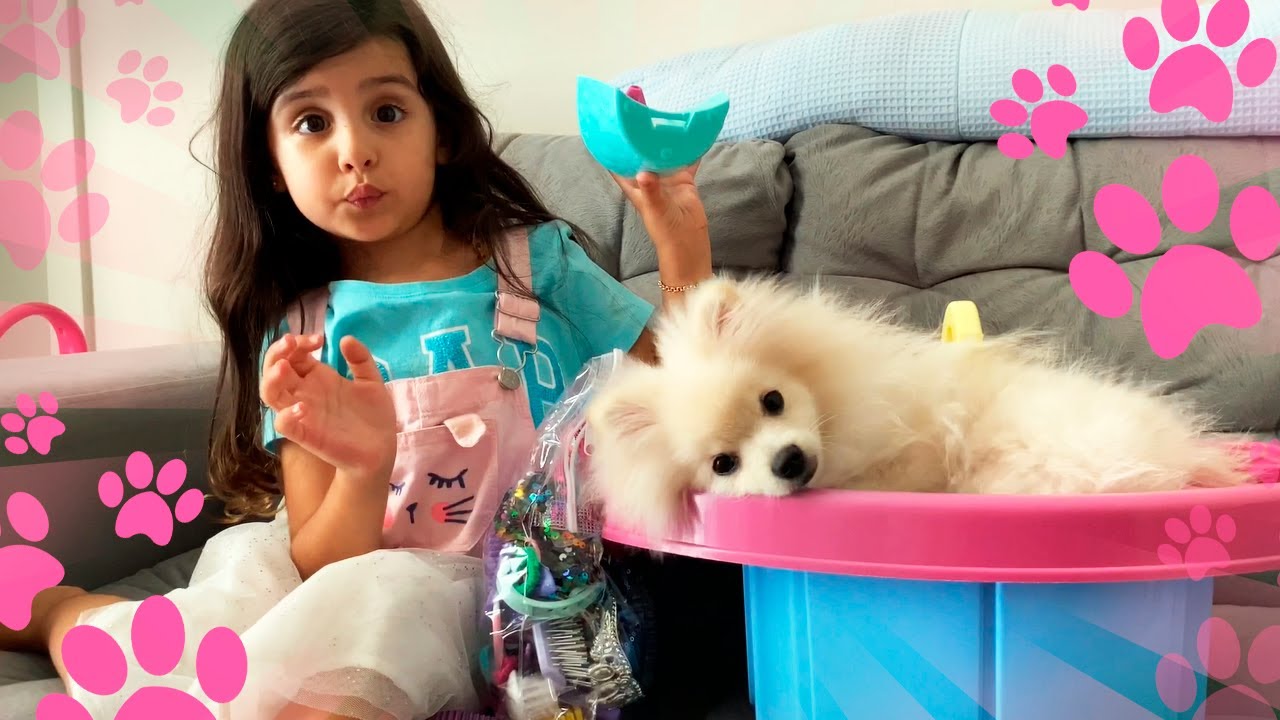 A Chanel foi no petshop da Sofia