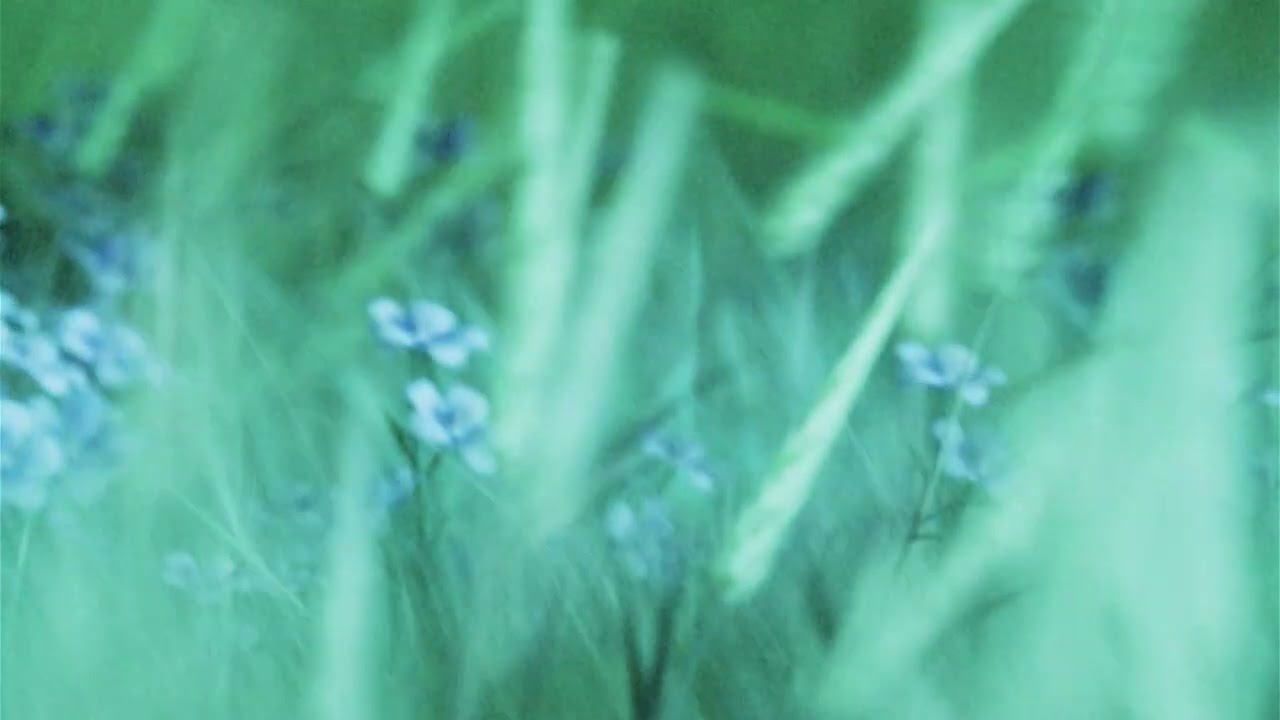 Mora Alfmarsson & Joseph Crime - A Quiet Moment