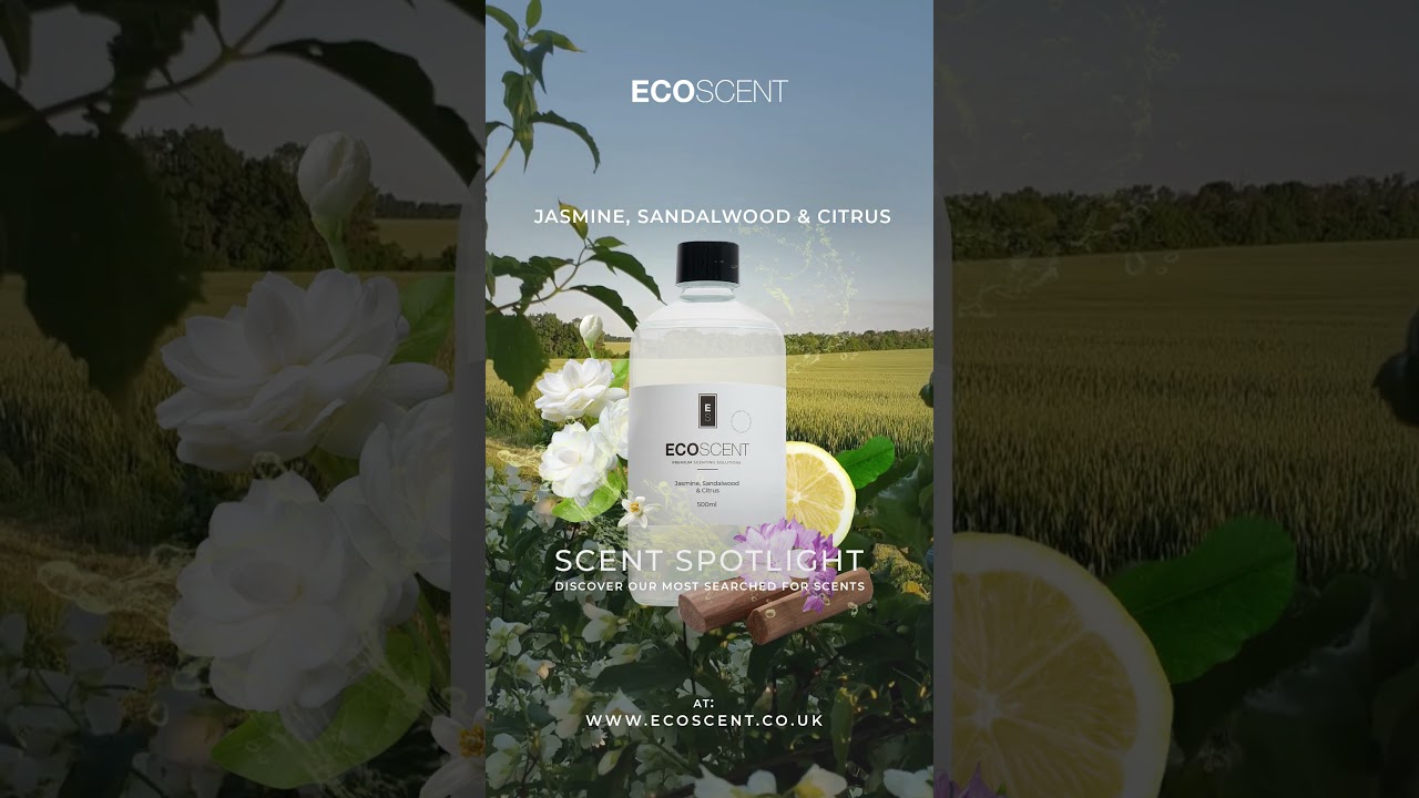 Scent Spotlight Jasmine, Sandalwood & Citrus 