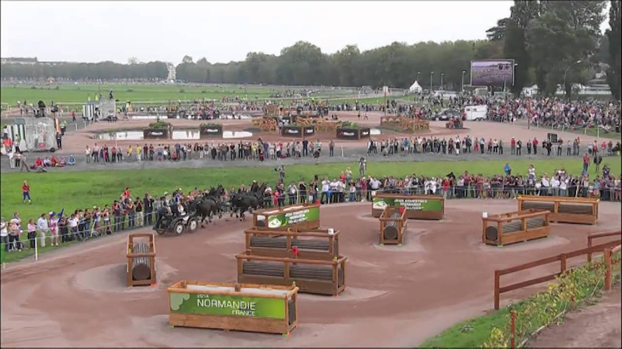 JEM 2014 : Benjamin Aillaud lors de l'épreuve de marathon du concours d'attelage