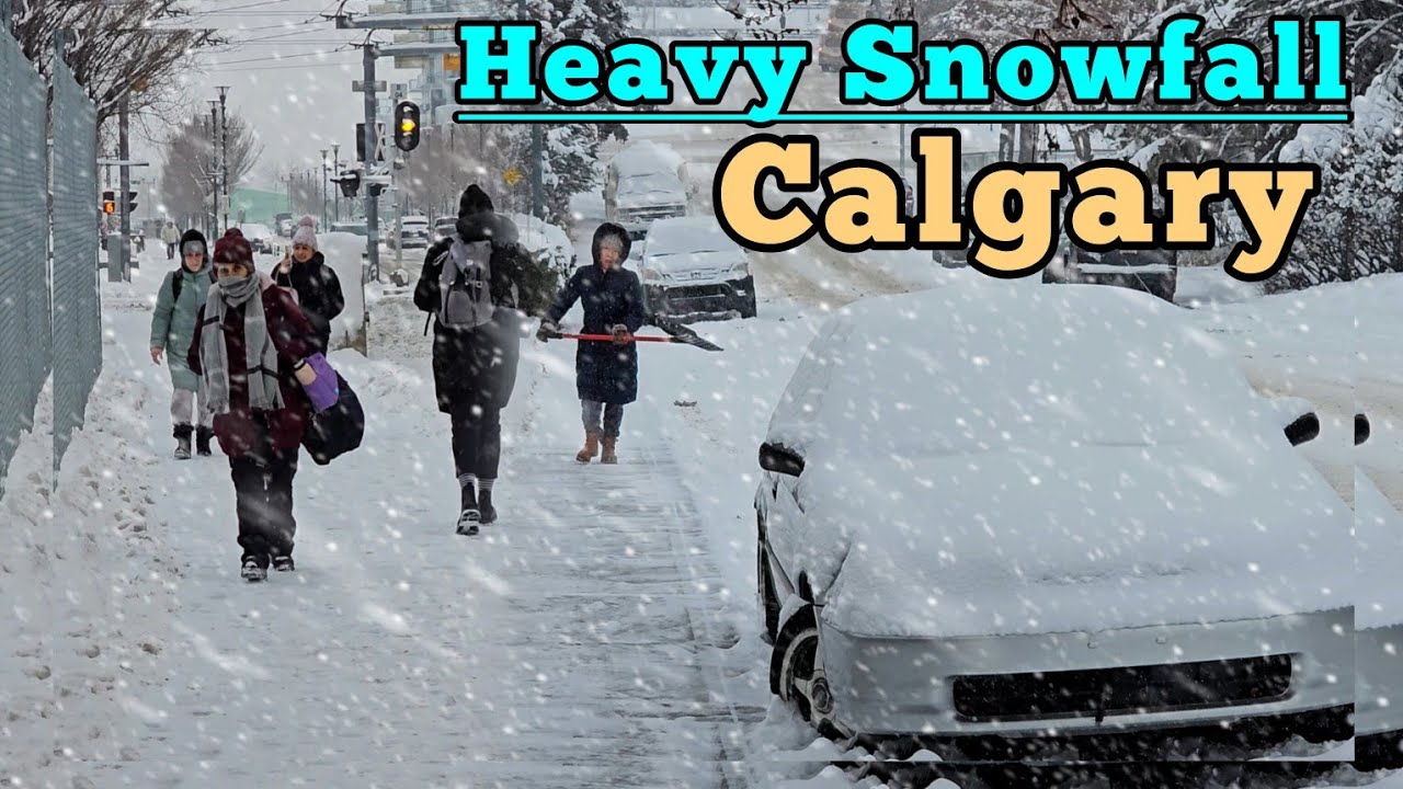 Heavy Snowfall and -15°C Freezing Cold in Calgary Alberta Canada 🇨🇦 #canada #calgary #Alberta #snow