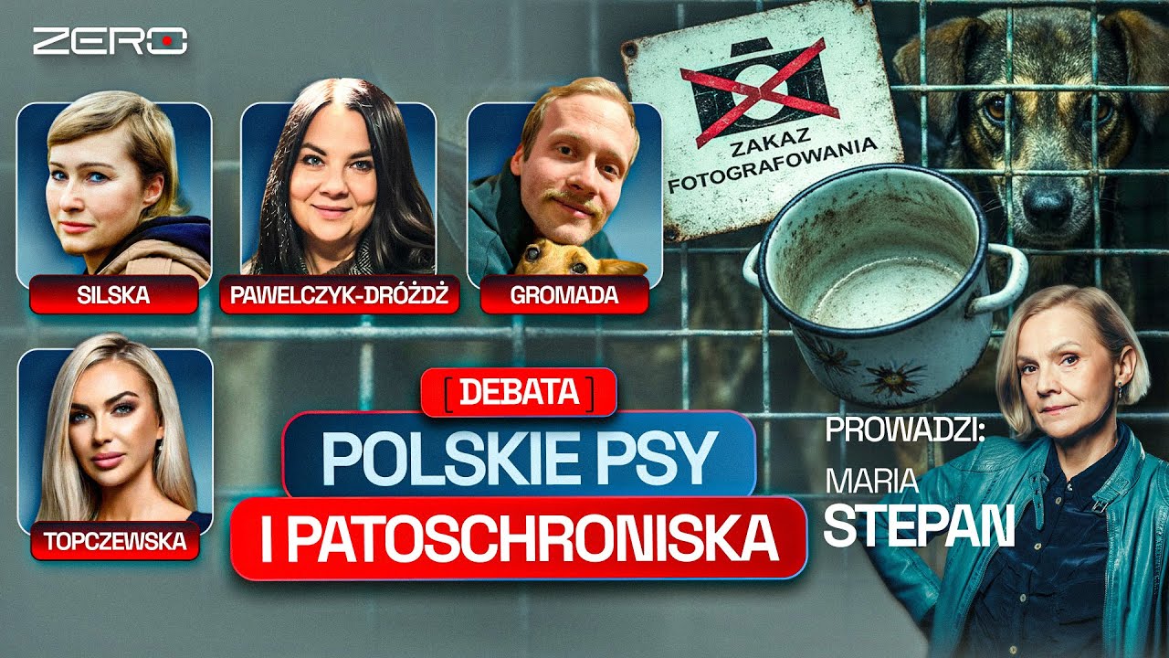 DEBATA - POLSKIE PSY I PATOSCHRONISKA