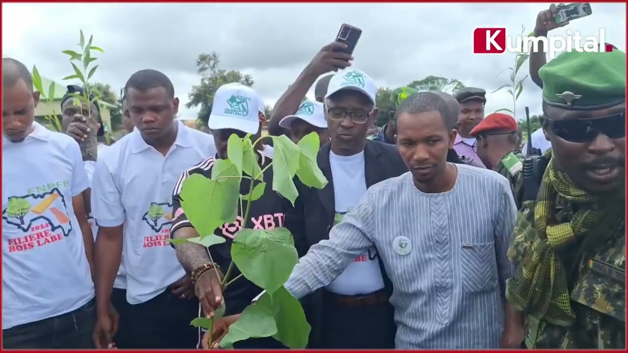 Reboisement de 5000 plantes 🪴  à Labé 🇬🇳.