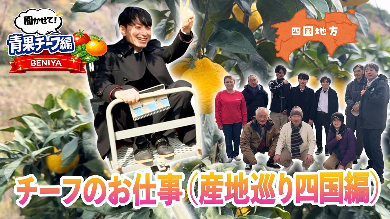 青果チーフのお仕事（産地巡り四国編）