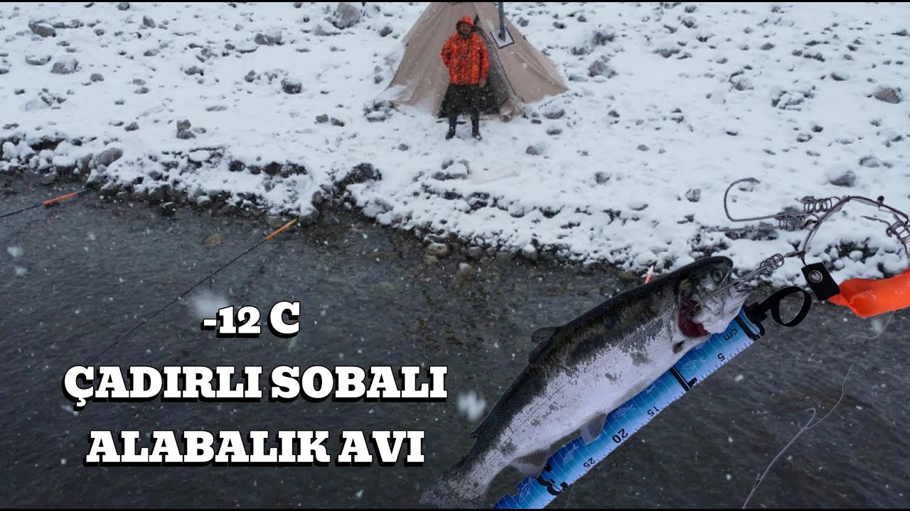 -12 C DE KAMP VE ALABALIK AVI YAMULA BARAJI #fishing #reels #shorts #shortsvideo #seafood#subscribe